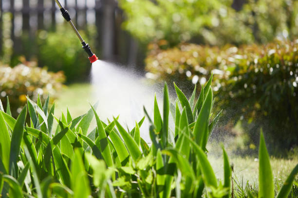 24/7 Emergency Fumigation Services experts in Nashotah, WI