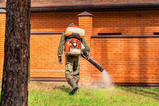 Trusted Termite Control service in Nashotah, WI - Nex Pest Control